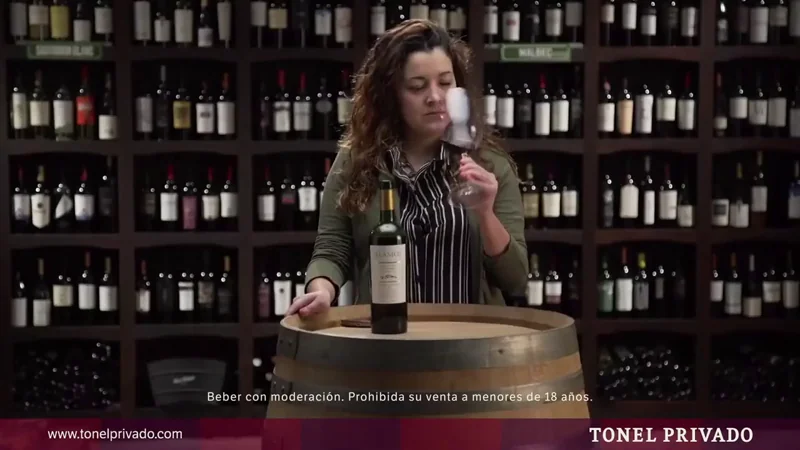 Tipos de Vinos