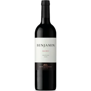 Benjamín Malbec 750cc